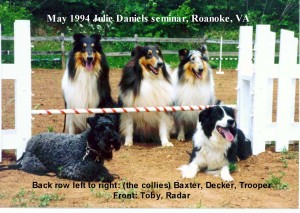 History, 4_Collies_and_a_Kerry